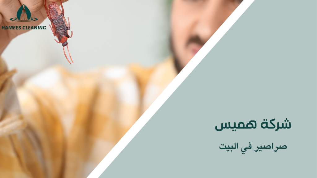 صراصير في البيت