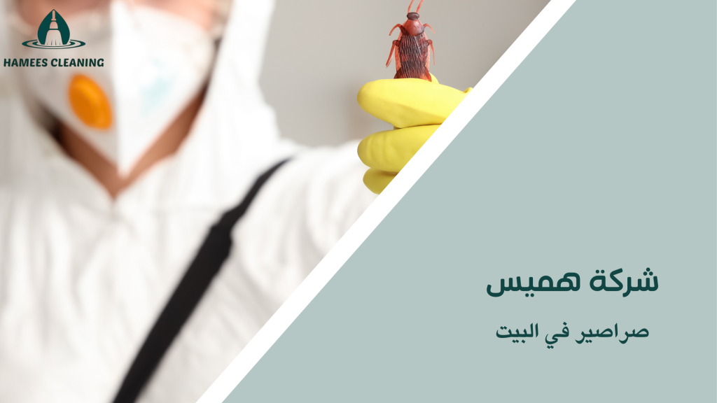 صراصير في البيت