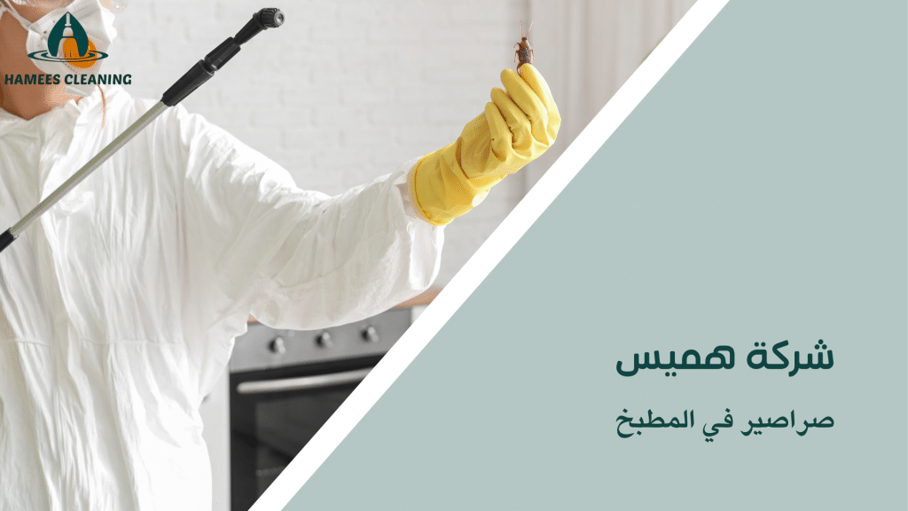 صراصير في المطبخ