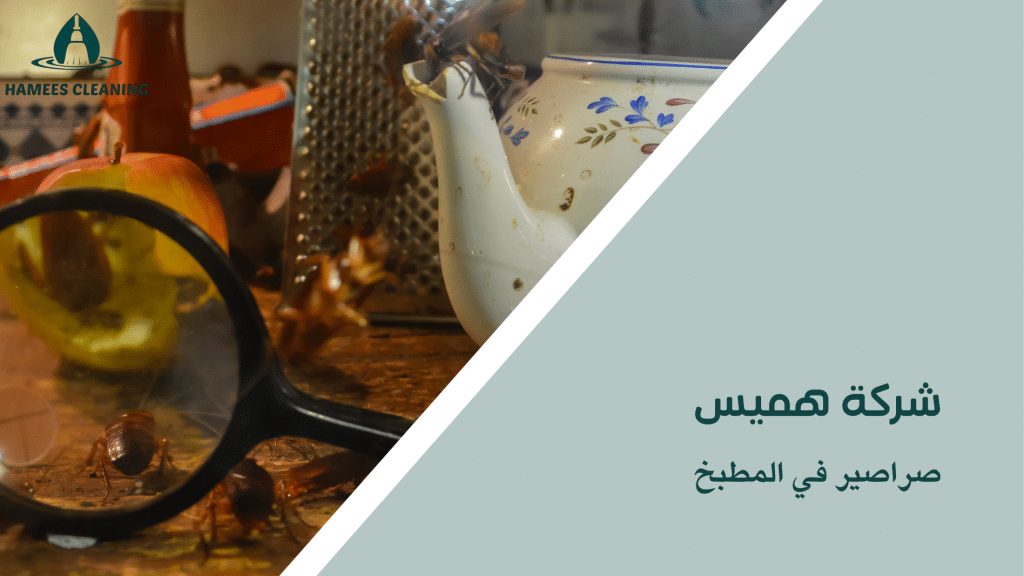 صراصير في المطبخ