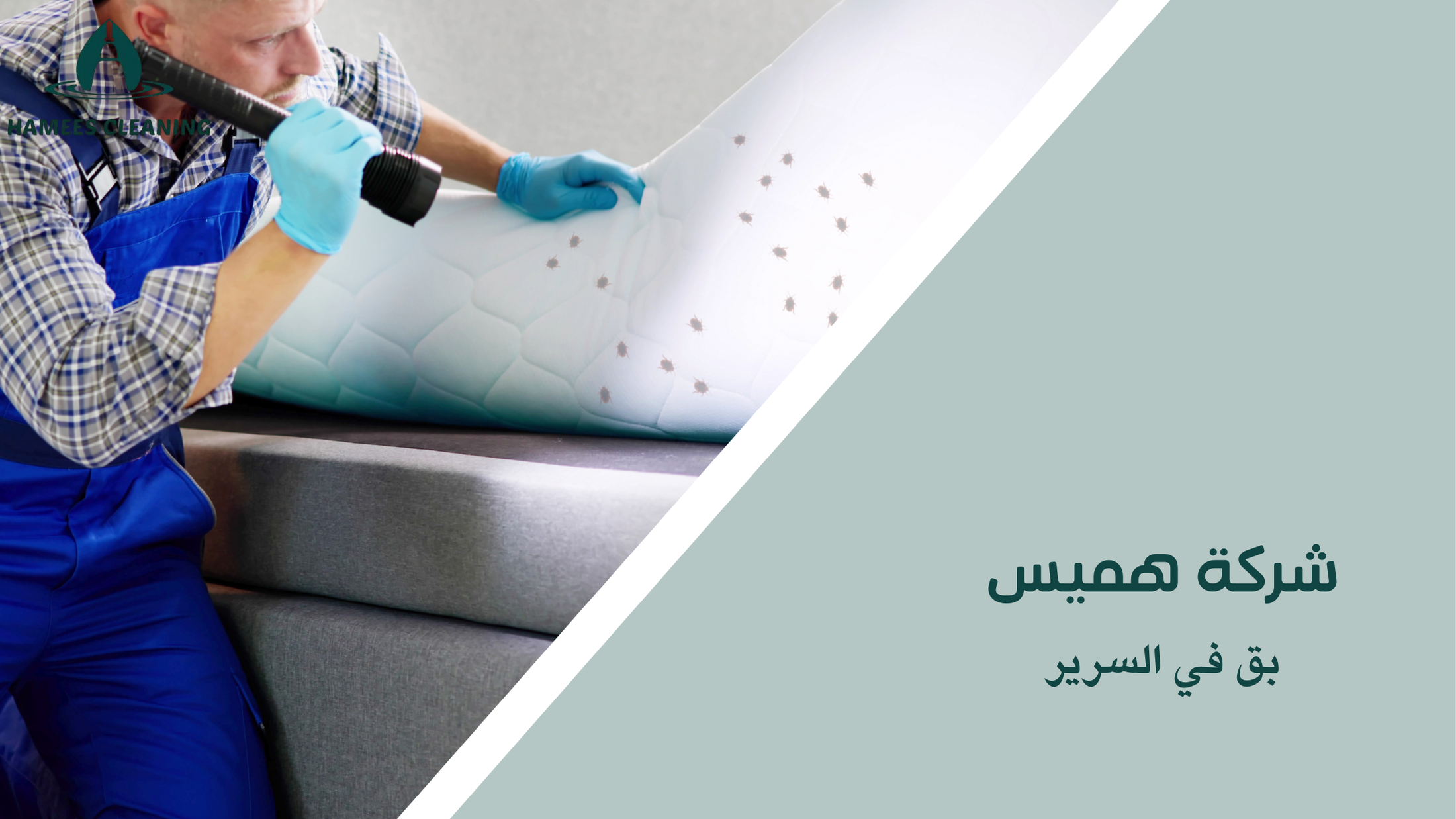 بق في السرير