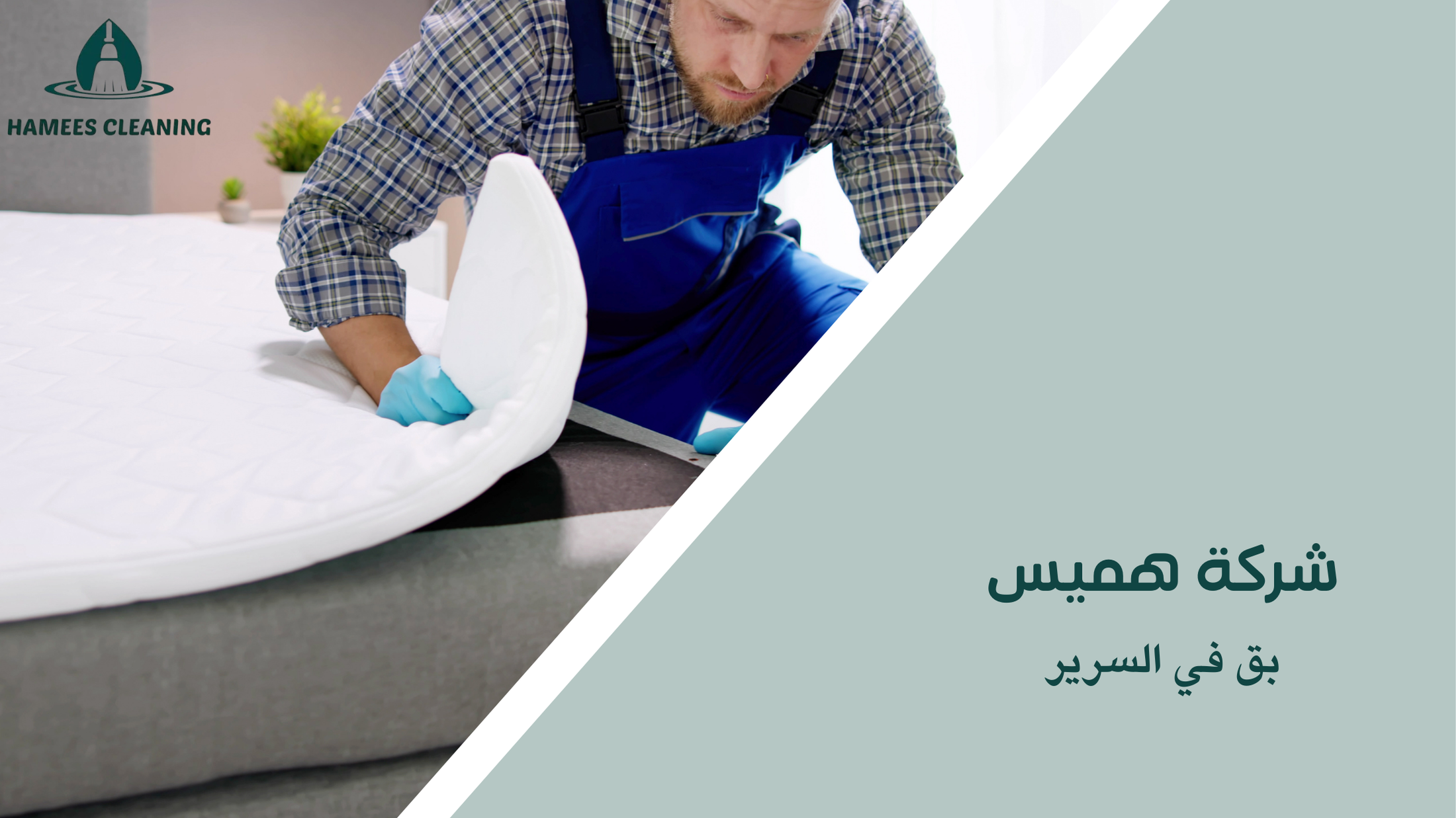 بق في السرير