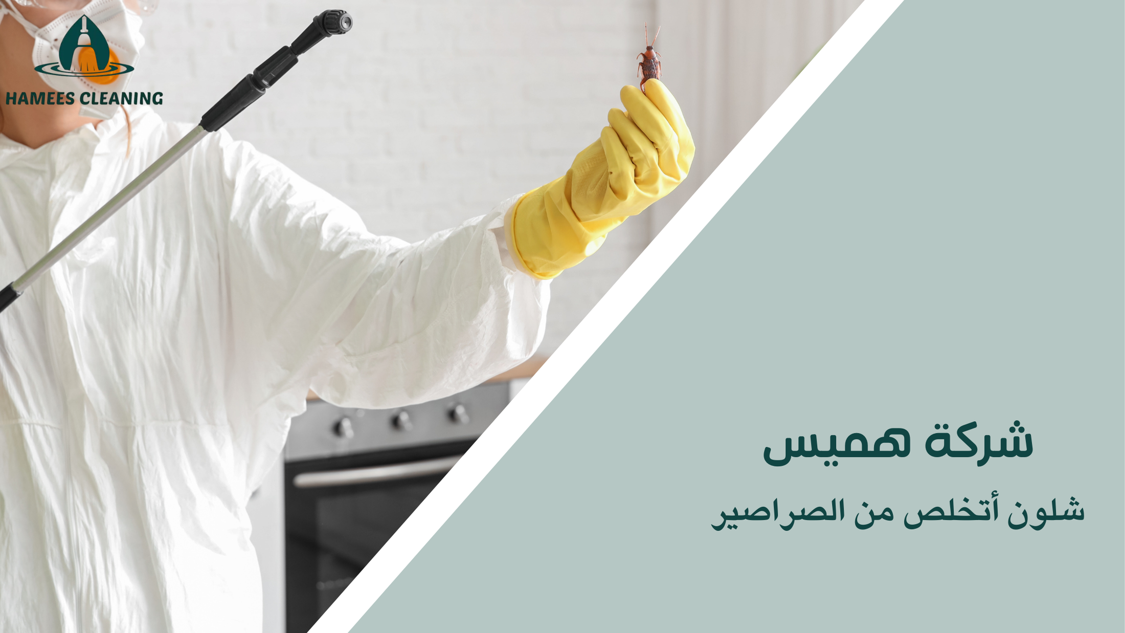 شلون أتخلص من الصراصير