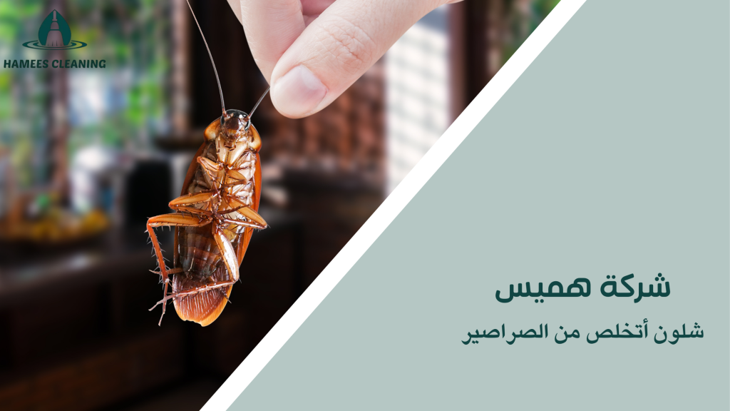 شلون أتخلص من الصراصير