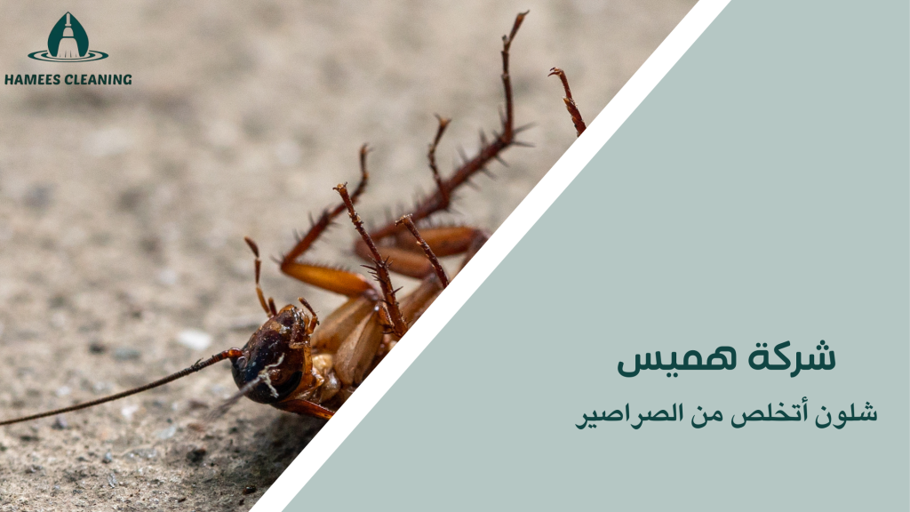 شلون أتخلص من الصراصير