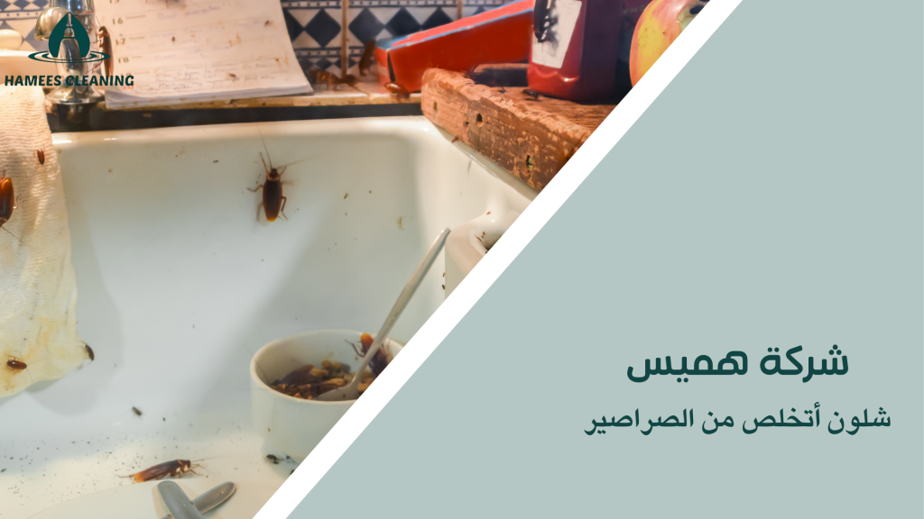 شلون أتخلص من الصراصير