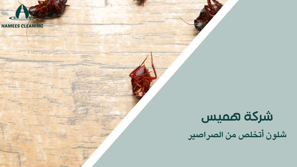 شلون أتخلص من الصراصير