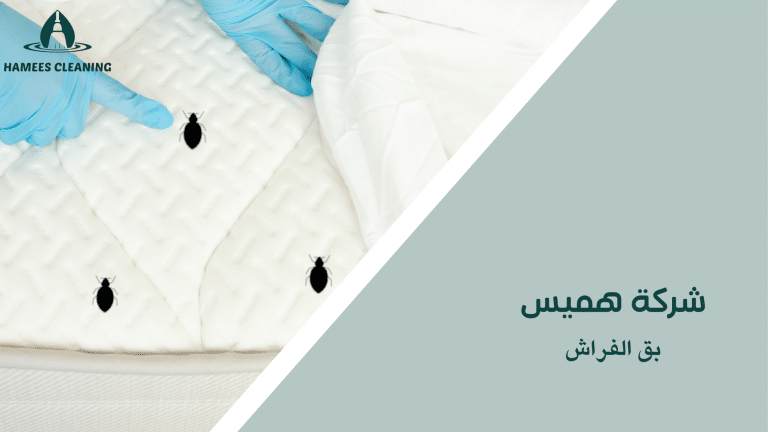 بق الفراش