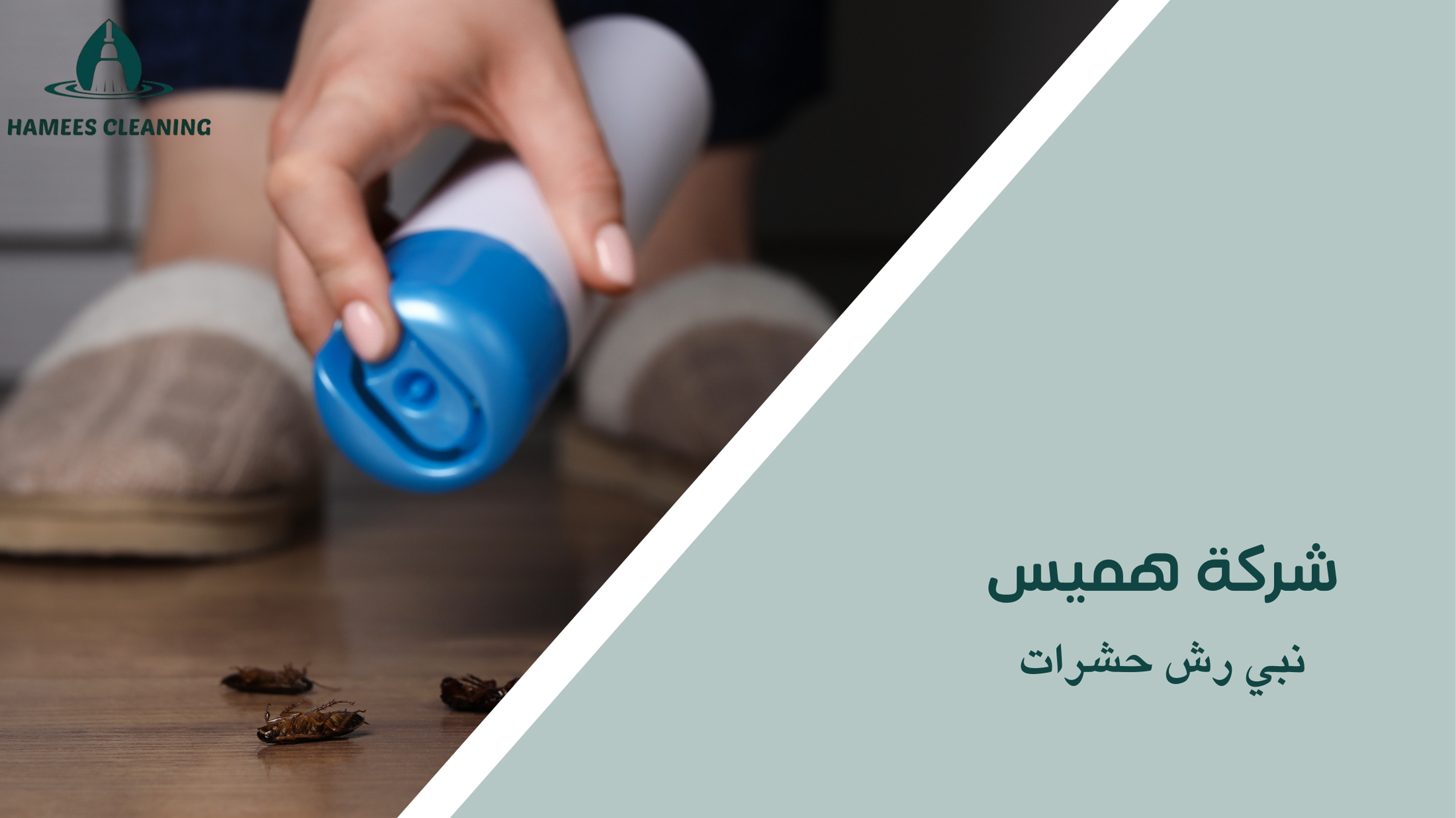 نبي رش حشرات