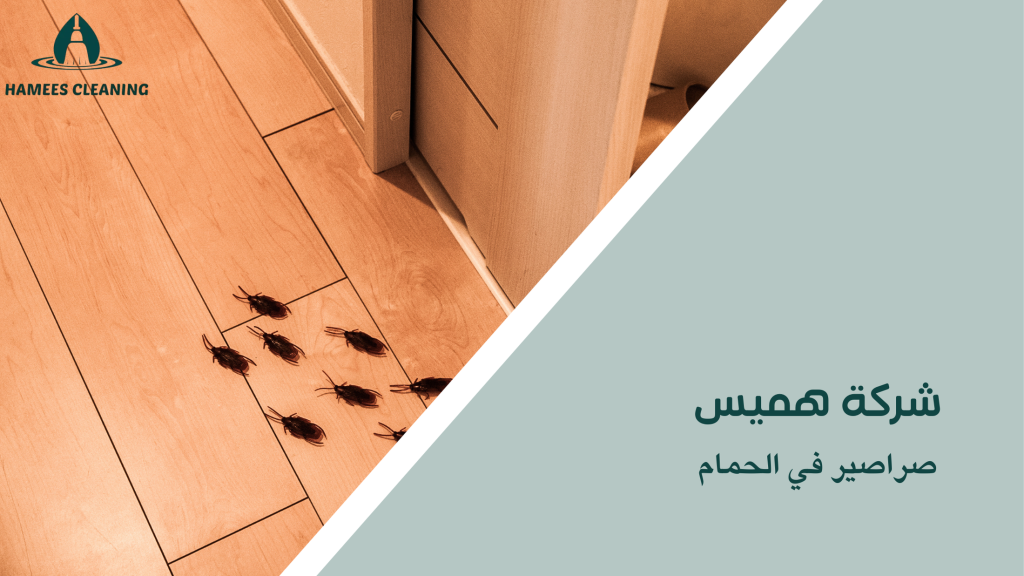 صراصير في الحمام