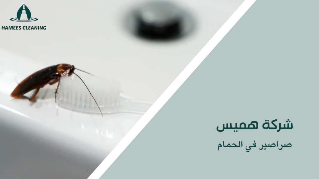 صراصير في الحمام