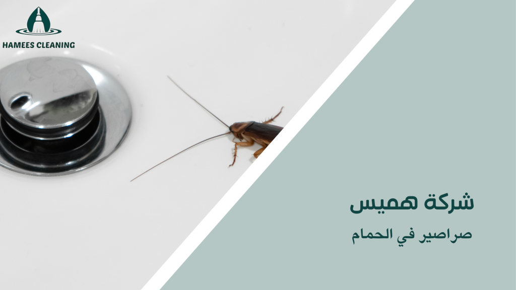 صراصير في الحمام