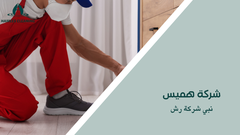 نبي شركة رش