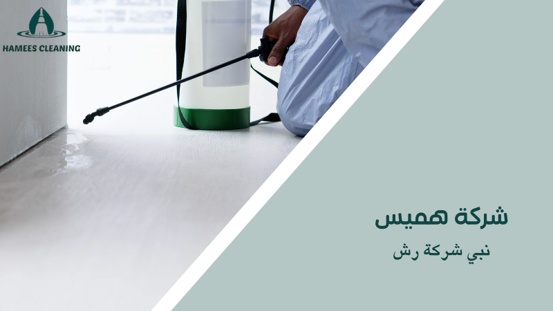 نبي شركة رش