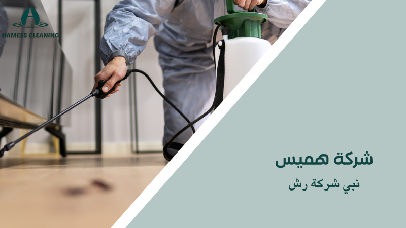 نبي شركة رش