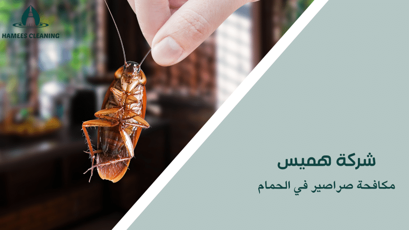 مكافحة صراصير في الحمام
