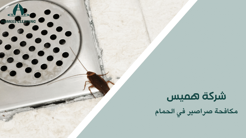 مكافحة صراصير في الحمام