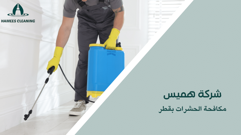 مكافحة الحشرات بقطر