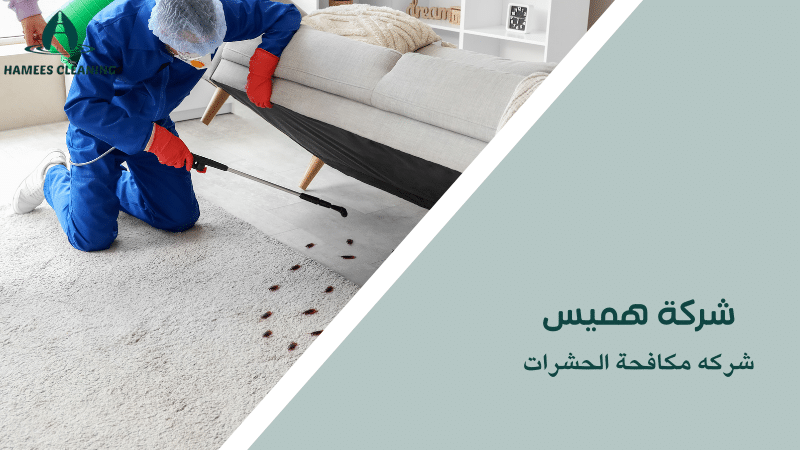 شركه مكافحة الحشرات