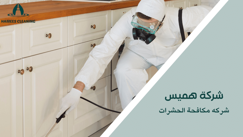 شركه مكافحة الحشرات