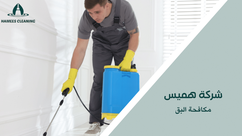 مكافحة البق