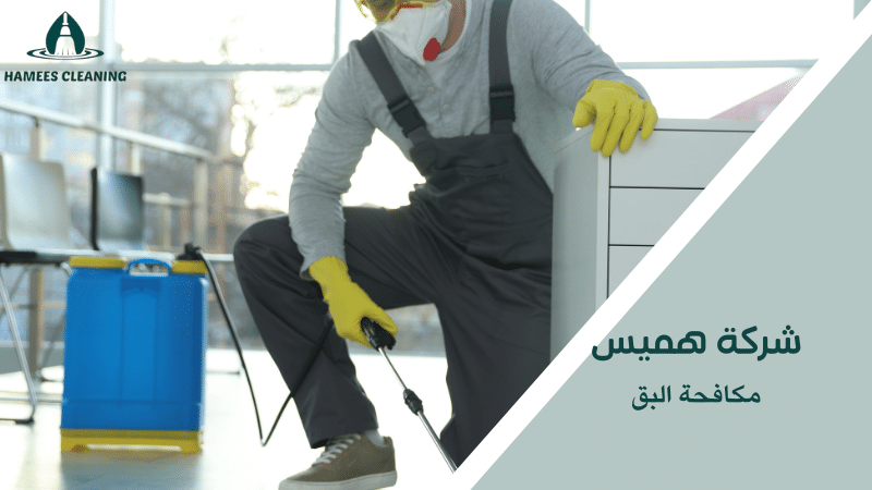 مكافحة البق