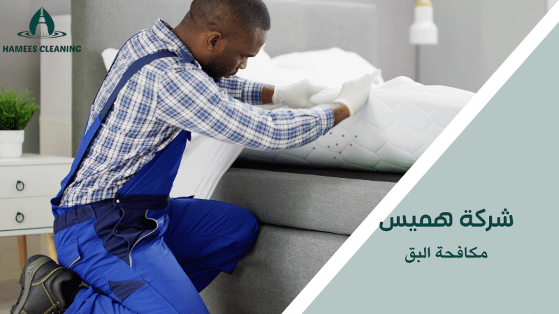 مكافحة البق