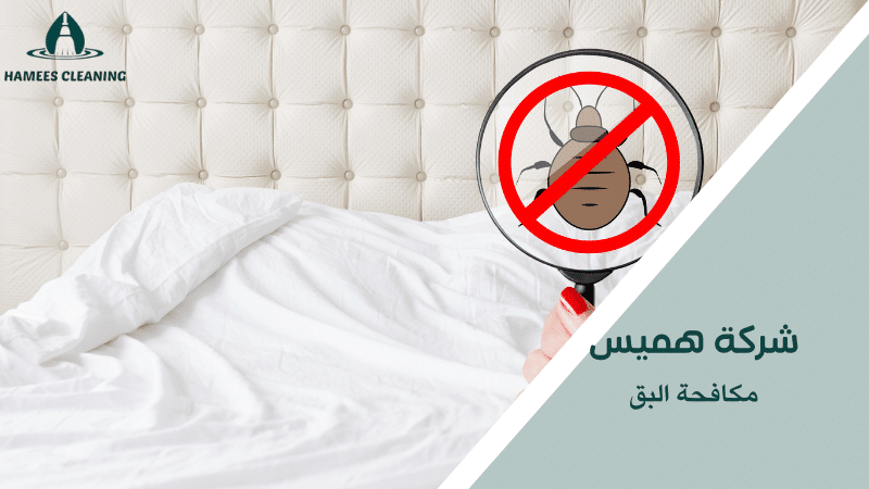 مكافحة البق