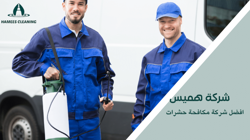 افضل شركة مكافحة حشرات