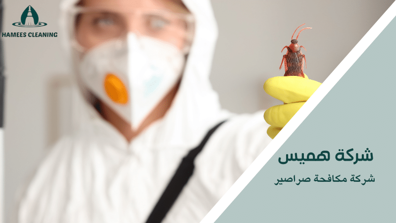 شركة مكافحة صراصير