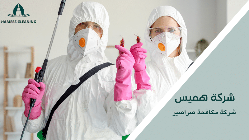 شركة مكافحة صراصير