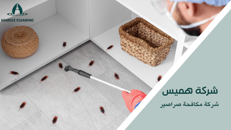 شركة مكافحة صراصير