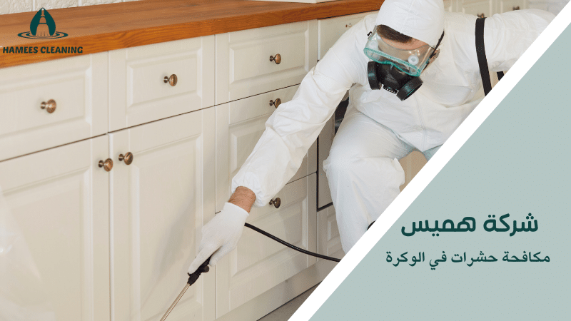 مكافحة حشرات في الوكرة