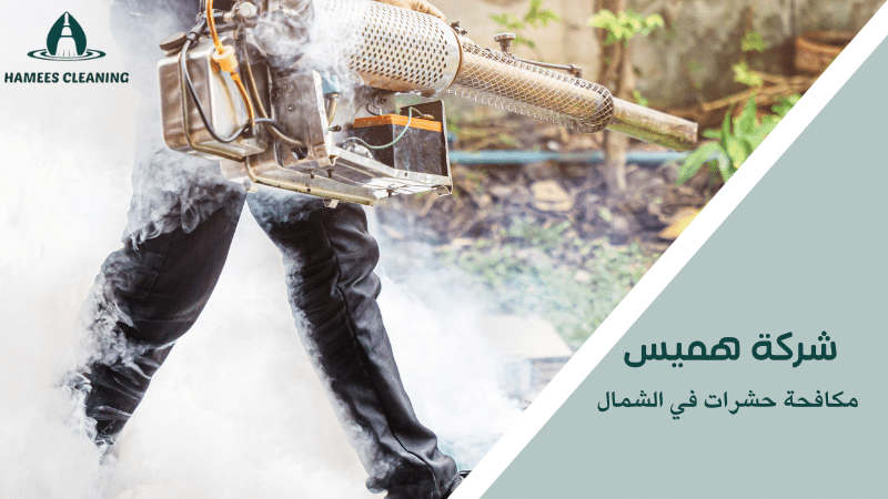 مكافحة حشرات في الشمال