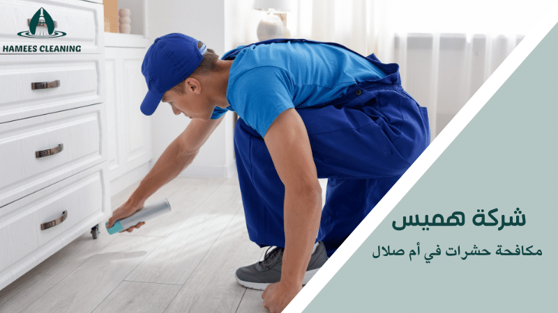 مكافحة حشرات في أم صلال