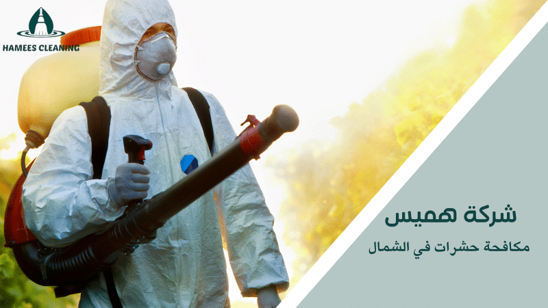 مكافحة حشرات في الشمال