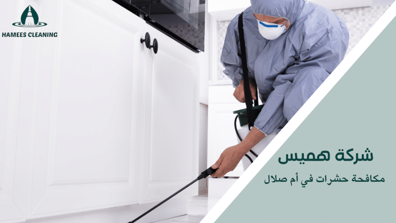 مكافحة حشرات في أم صلال