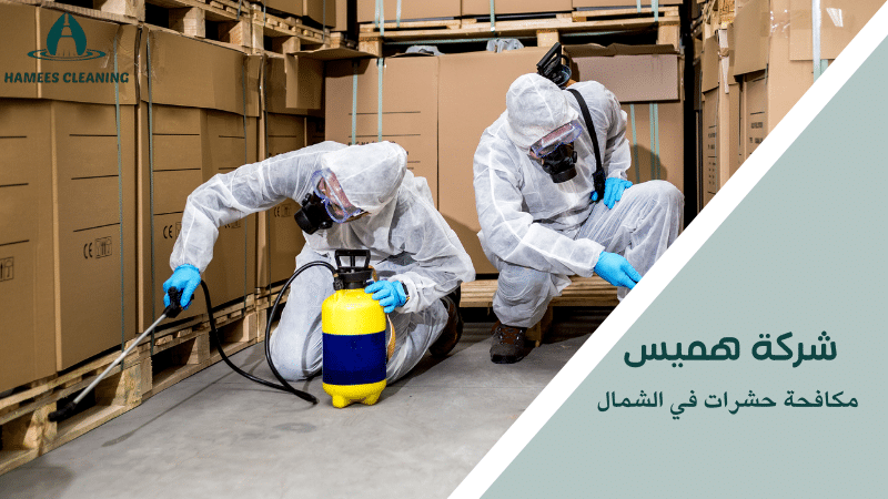 مكافحة حشرات في الشمال