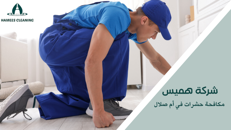 مكافحة حشرات في أم صلال