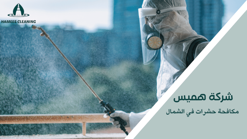 مكافحة حشرات في الشمال