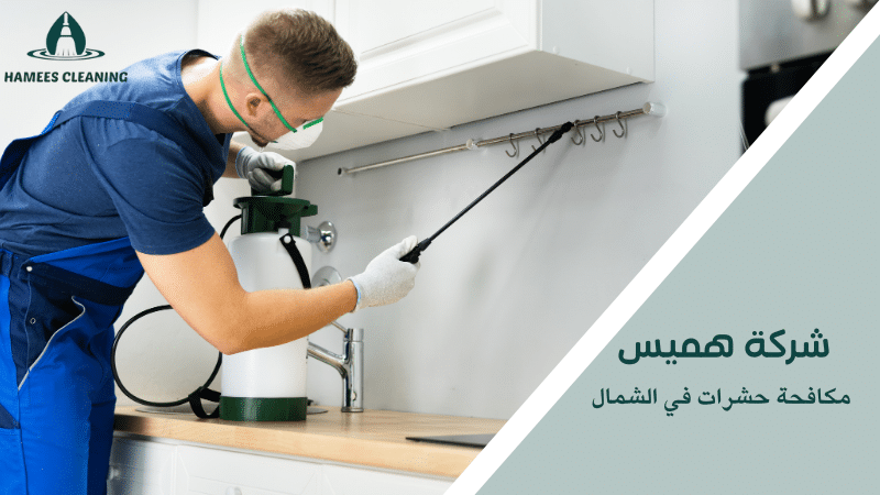 مكافحة حشرات في الشمال