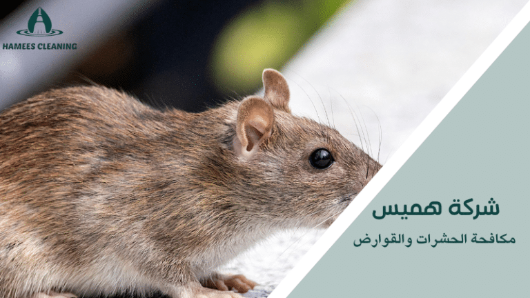 مكافحة الحشرات والقوارض