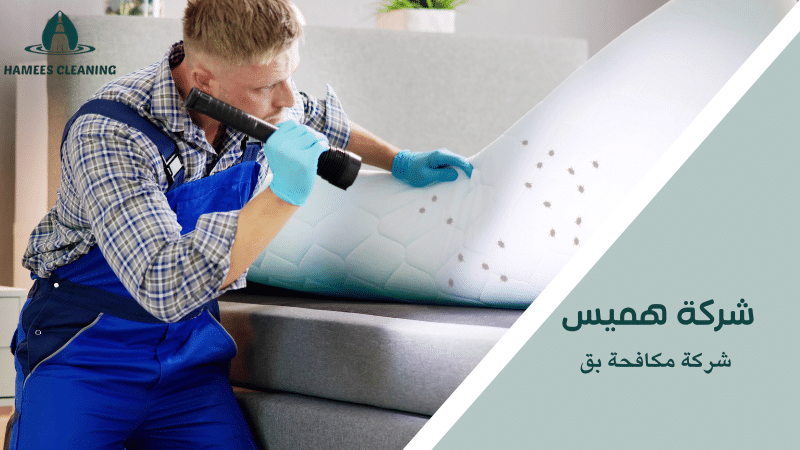 شركة مكافحة بق