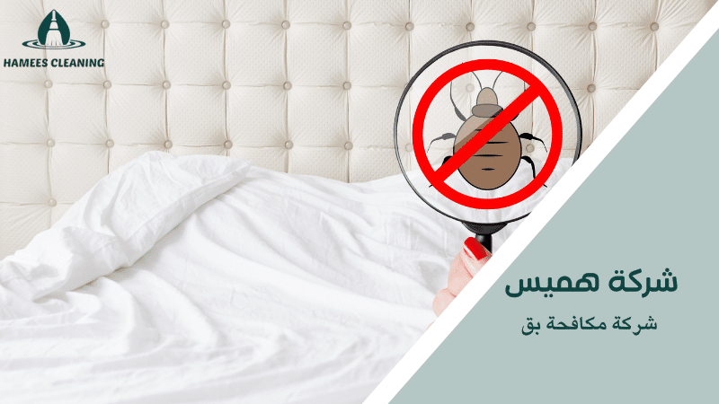 شركة مكافحة بق