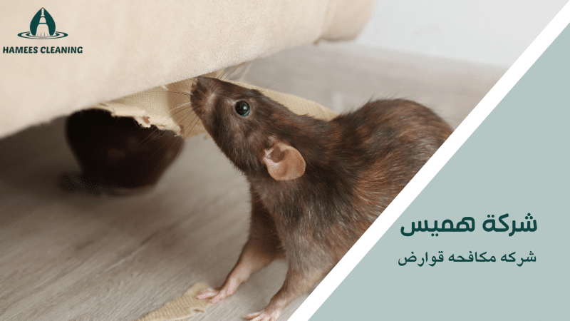 شركه مكافحه قوارض