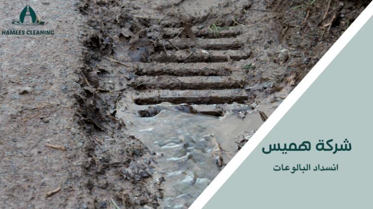 انسداد البالوعات