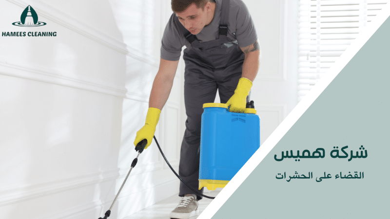 القضاء على الحشرات