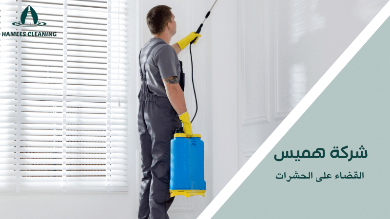 القضاء على الحشرات