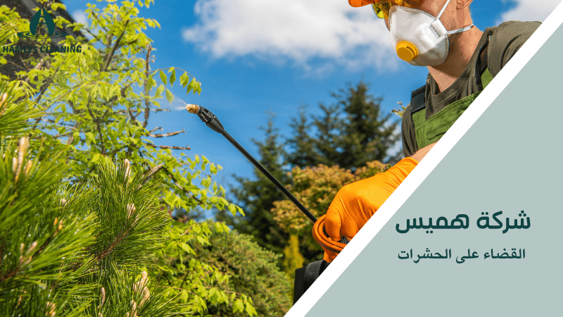 القضاء على الحشرات